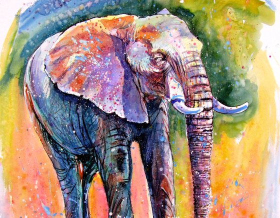 Elephant by the water