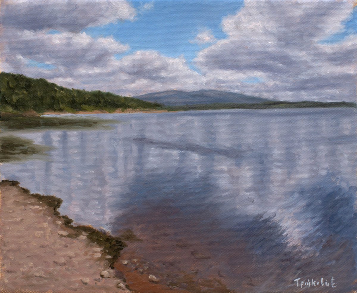 Impressionistic Landscape Oil Painting By Dejan Trajkovic, 16 X 14, Reflections Of Clouds, Original Artwork