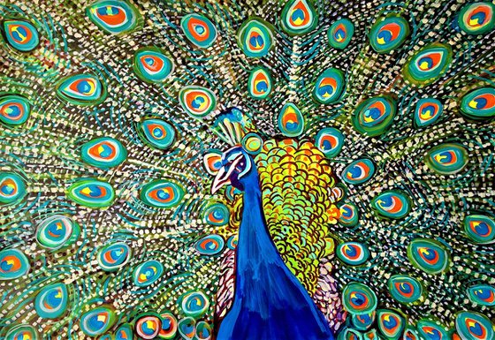 Peacock