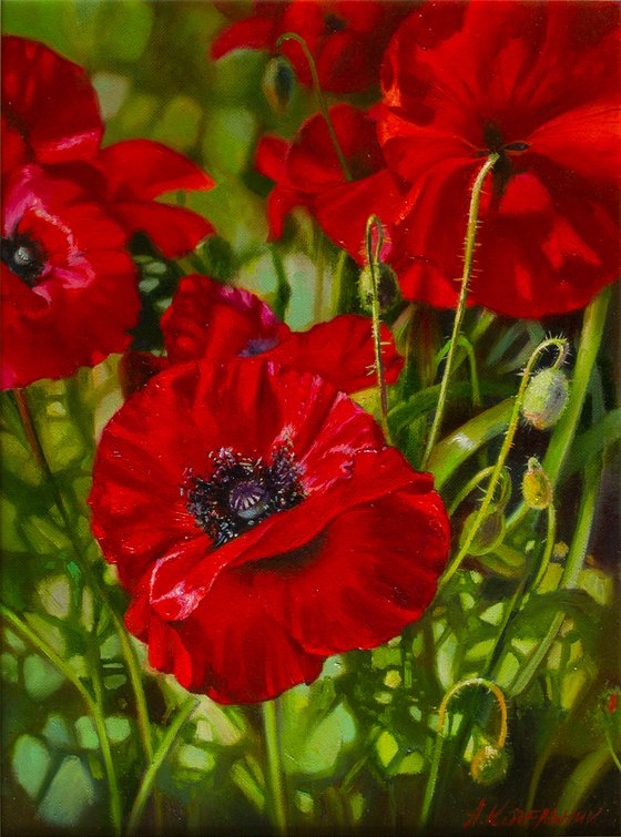 "Scarlet poppies" flowers poppies realism liGHt original painting   GIFT (2018)