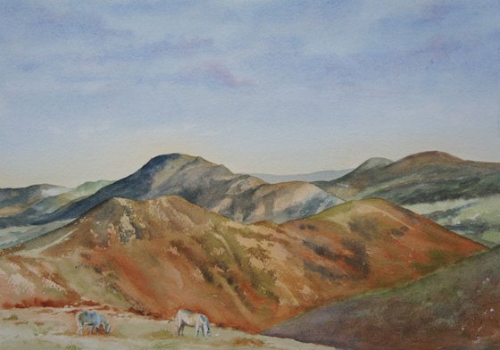 Long Mynd Hills