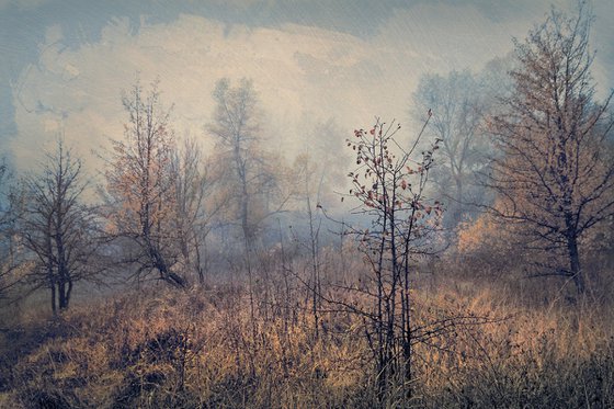 "In the mist of autumn". Scene 3