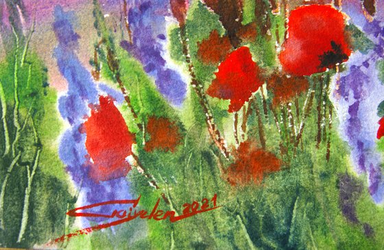 Red poppies