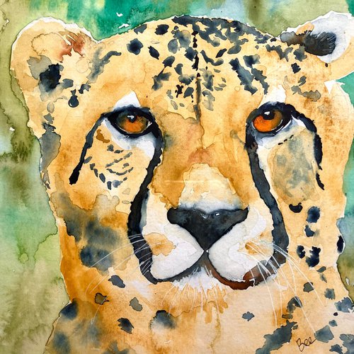 Cheetah by Bee Inch