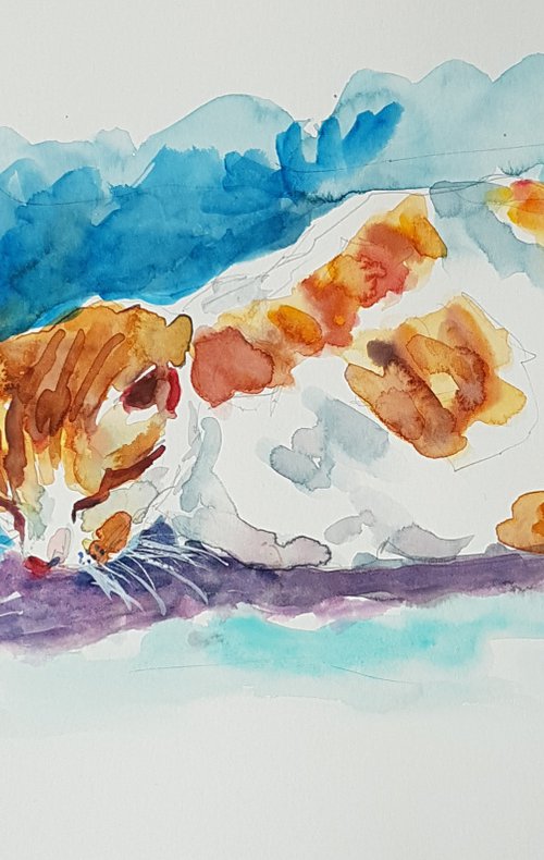 Dozing cat by Silvia Flores Vitiello