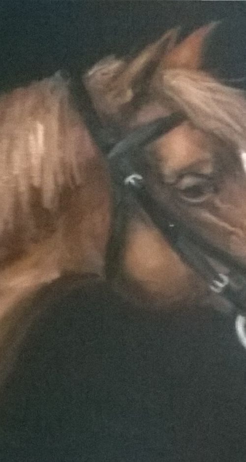 Horse Head by Jack Bagley