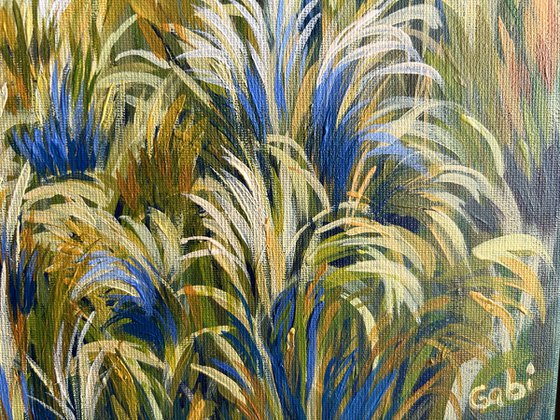 Summer Fields II