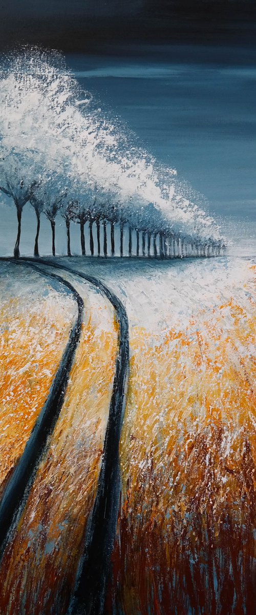 Hoar frost -  Fields and Colors Series by Danijela Dan