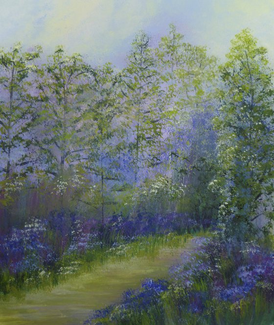 Woodland Bluebells