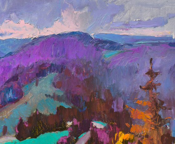 Evening on the Pass
