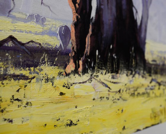 Australian Gum tree Landscape