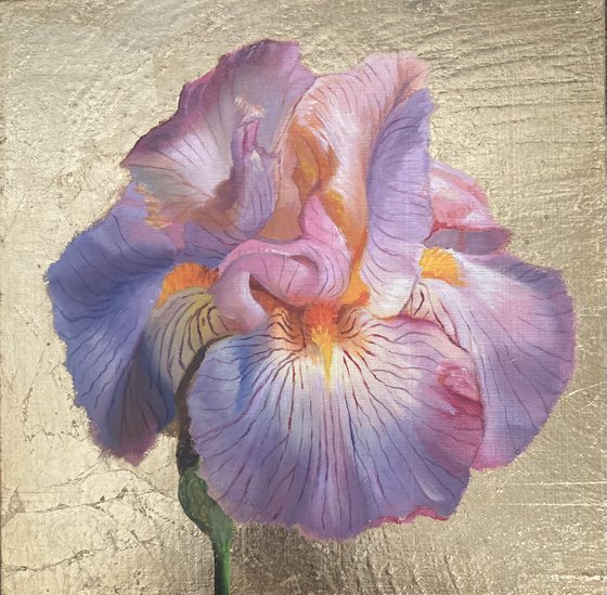 Radiant Iris (2025)