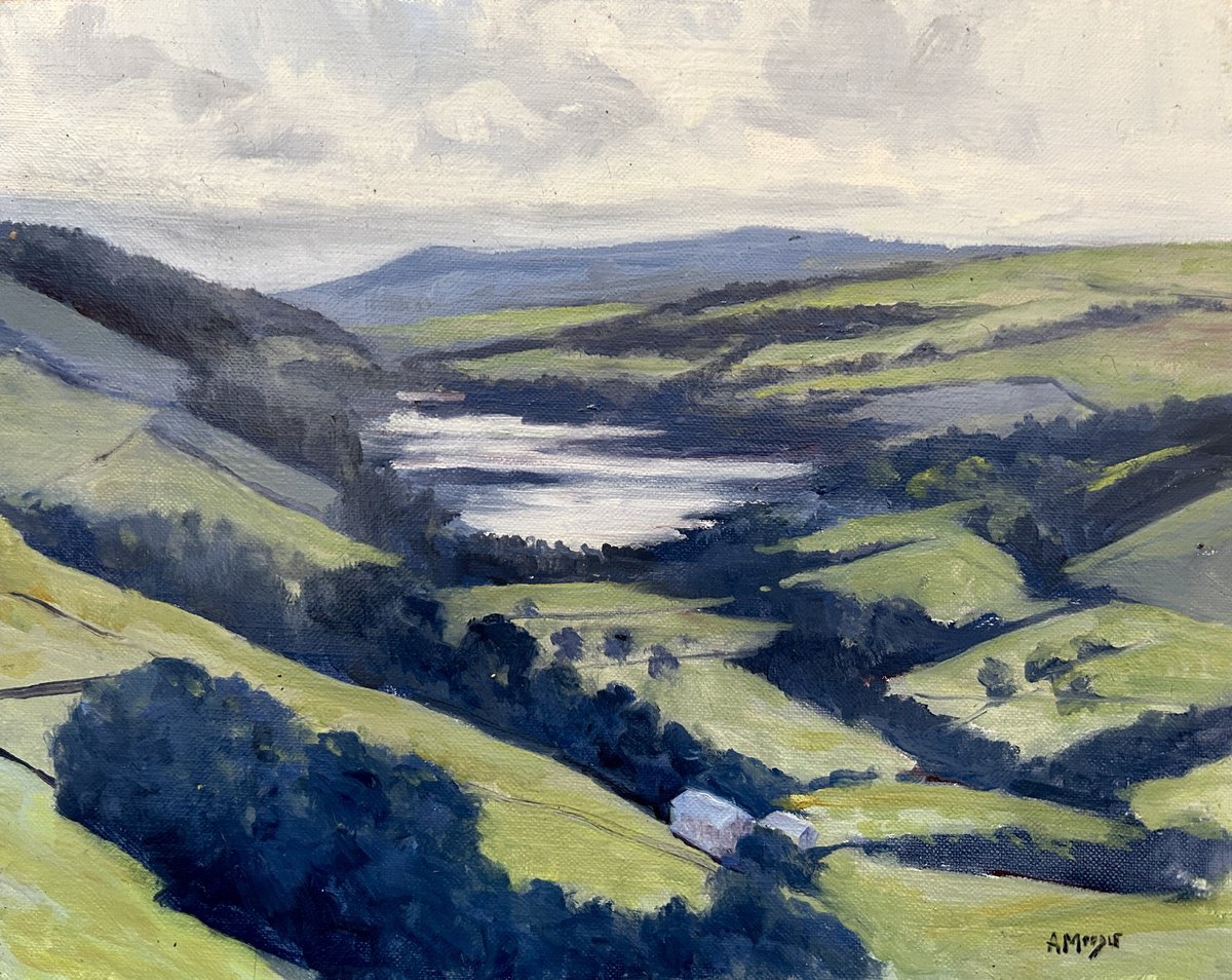 View Over Gouthwaite Reservoir By Andrew Moodie, 16 X 14, Artwork For Sale On Artfinder