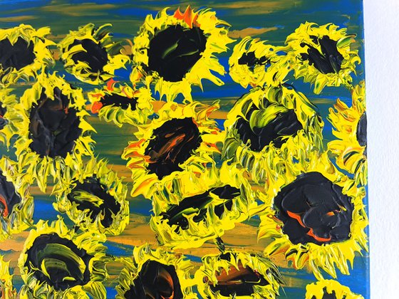 Blooming sunflowers 5