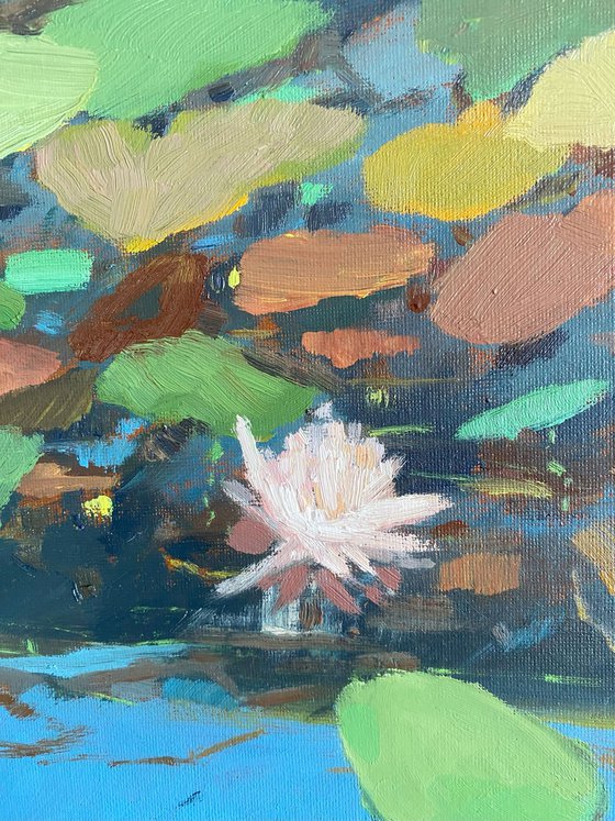 Lotus flower
