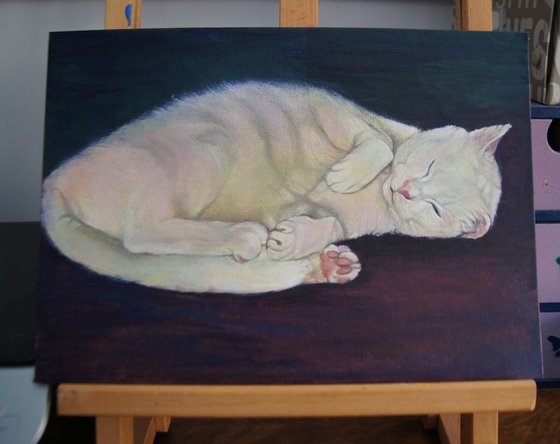 White cat