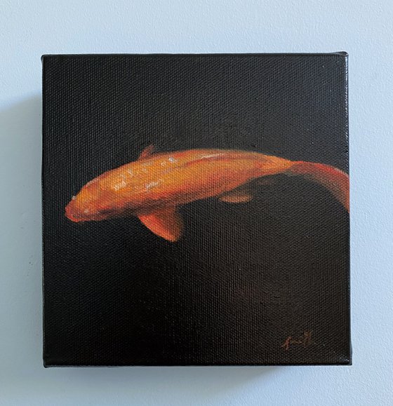 Koi Carp Fish On Chunky Box canvas.