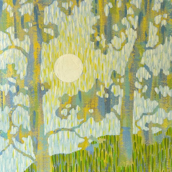 Morning Light Through Pines