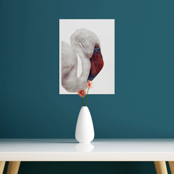 Elegant Flamingo, bird portrait