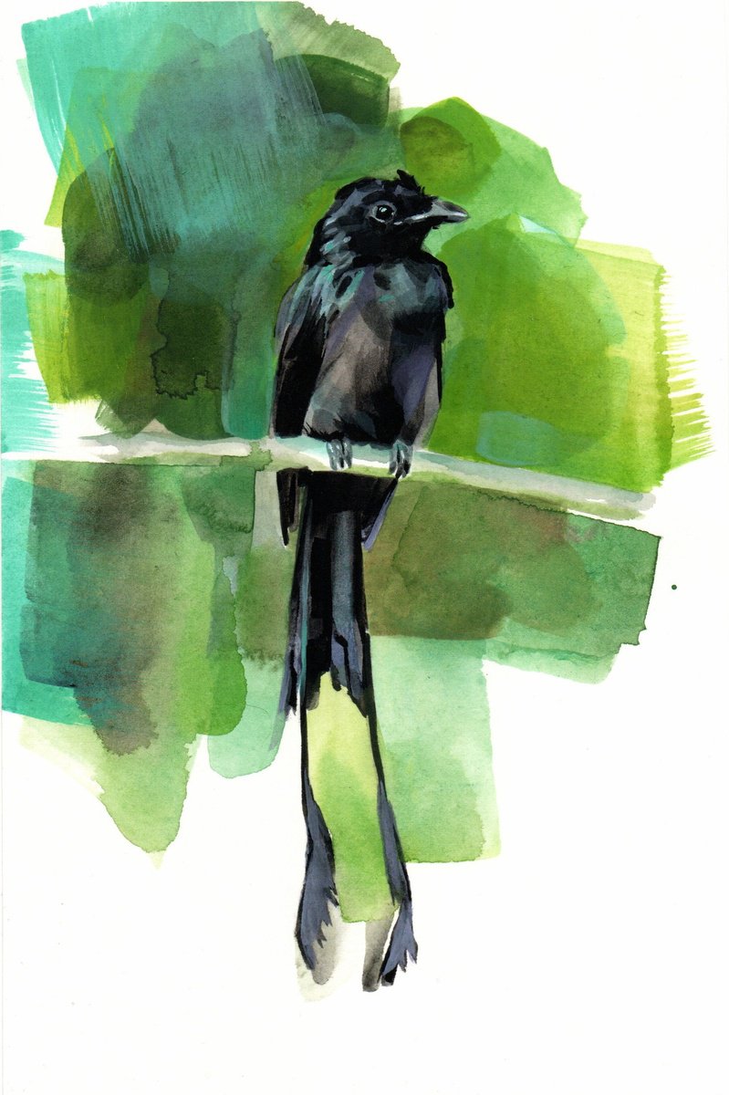 Bird by Kateryna Somyk