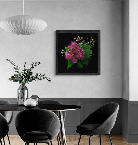 Swamp Bloodwood Blossoms