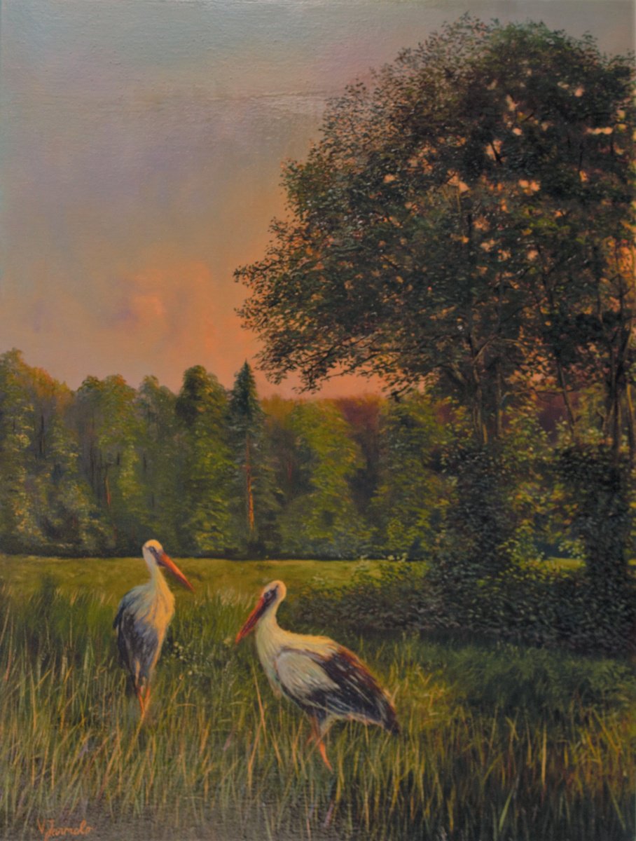 Storks in the Evening by Vladimir Jarmolo