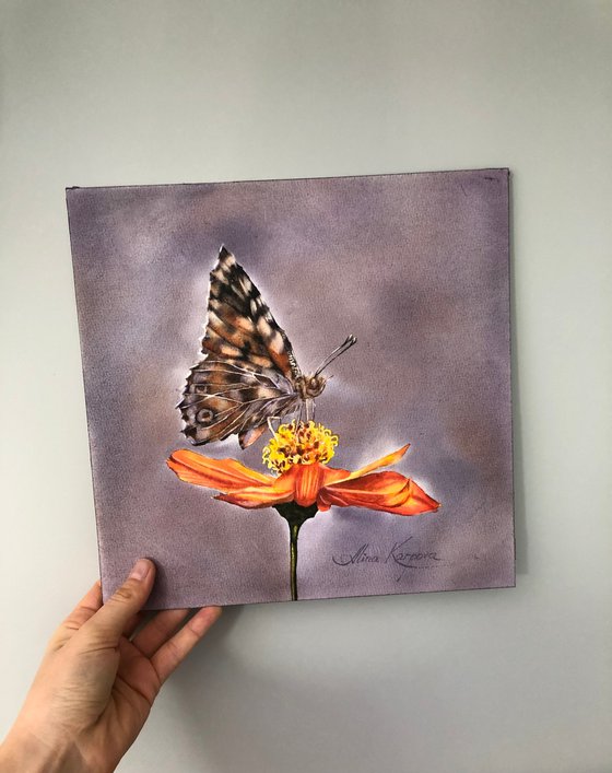 Butterfly on flower