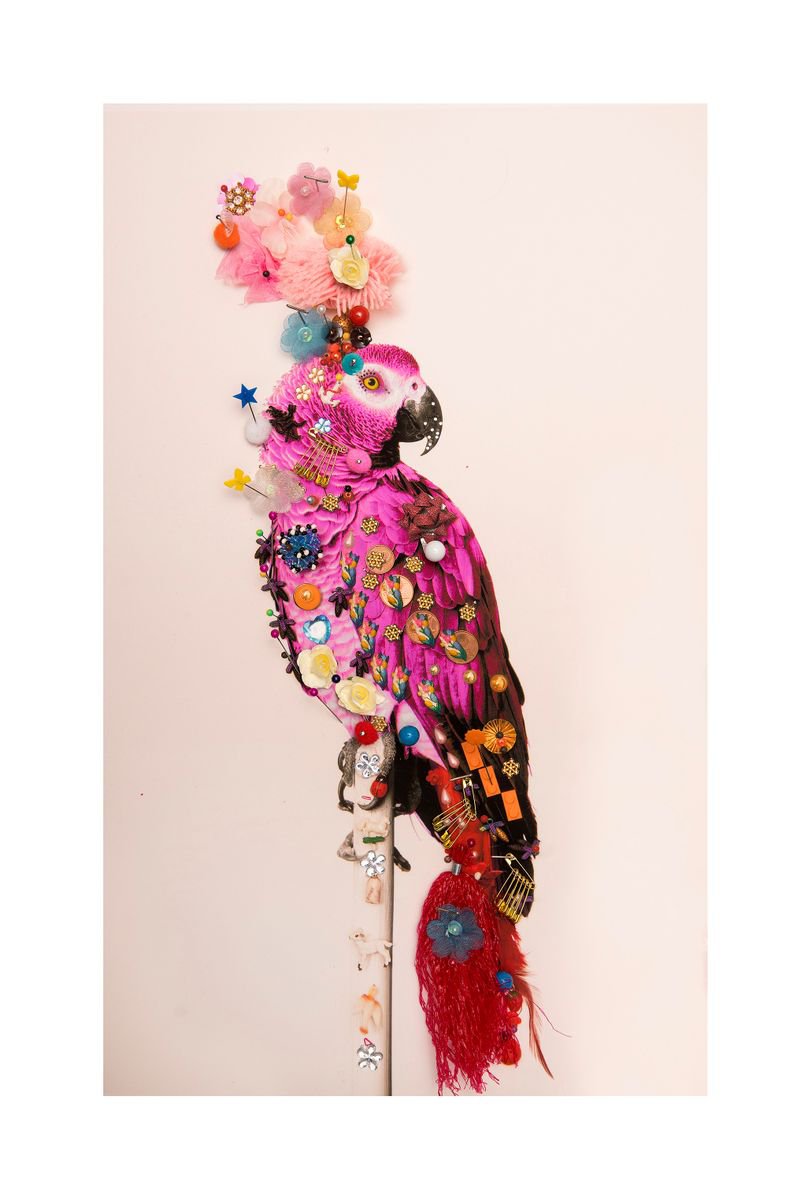 Urban And Pop Animal Photograph By B-Brown & Scheinmann, 22 X 32, P5, Original Artwork