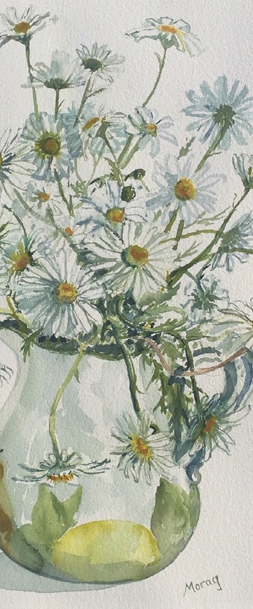 Daisies in a Jug by Morag Paul