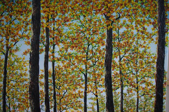 Light of Autumn