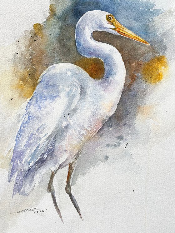 Great Egret in Marshes