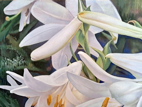 WHITE LILIES