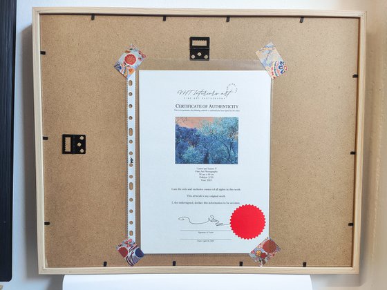 (FRAMED) Nature and Seasons