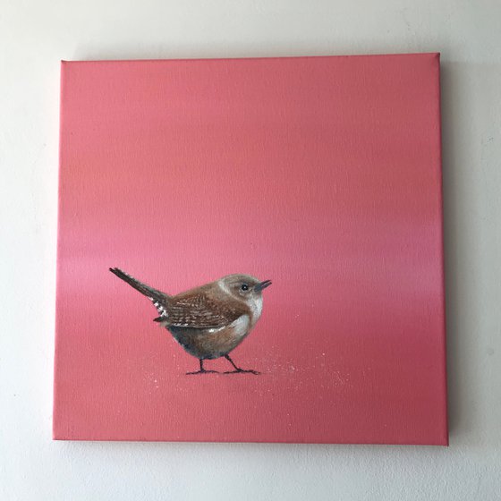 Wren on Rose Gold