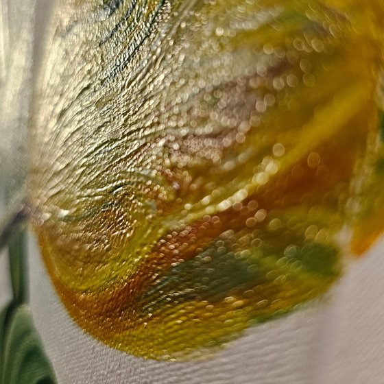 Yellow within Blue