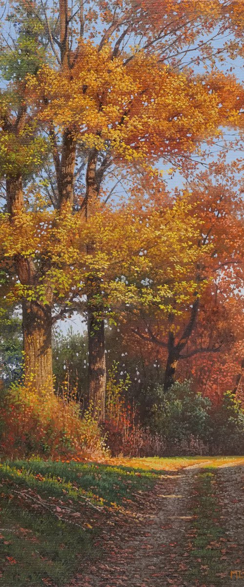 Color changes by Mlynarcik Emil