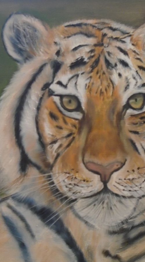 Tiger by Timea  Valsami