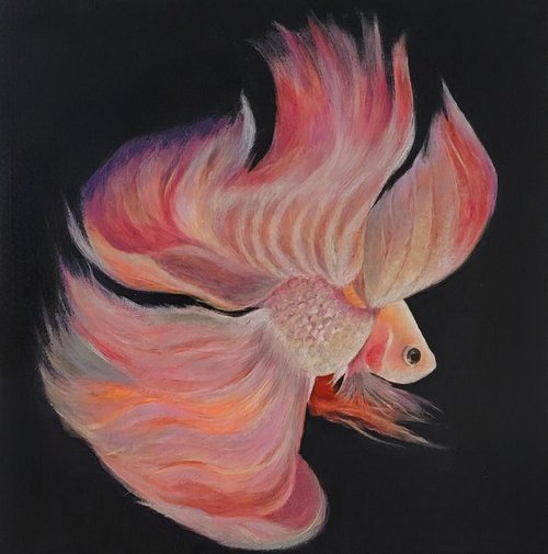 Pink Princess Beta Fish Painting by Nersel Muehlen