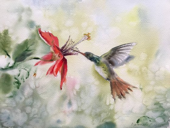 Hummingbird and flower (Little bird - 2)