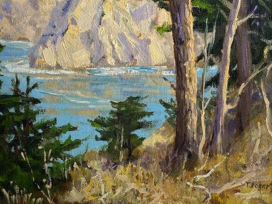 Point Lobos Cove View Plein Air Landscape