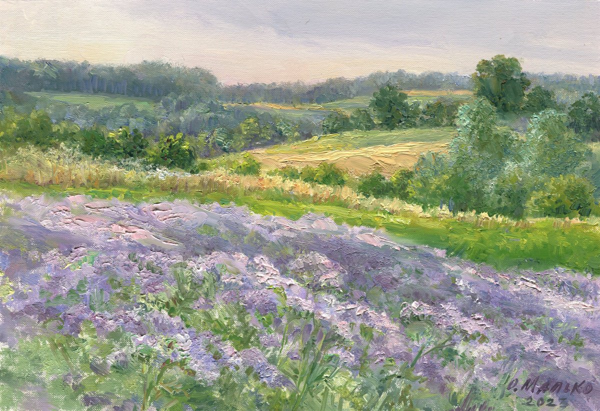 Ukrainian Provence. Flowering phacelia / ORIGINAL oil painting. Plain air summer landscape... by Olha Malko