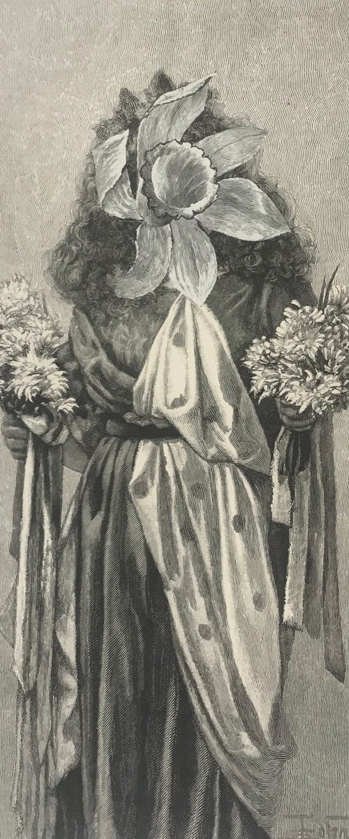 Narcissus by Tudor Evans