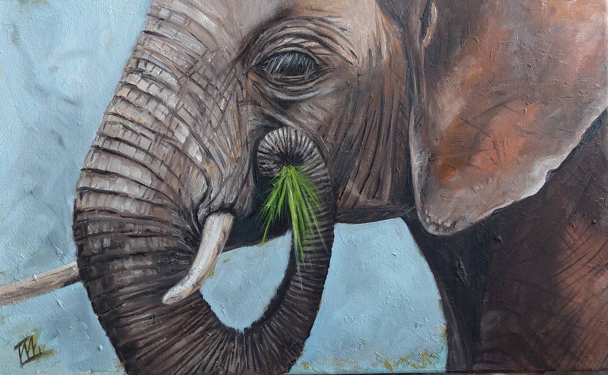 Gray Elephant by Ira Whittaker