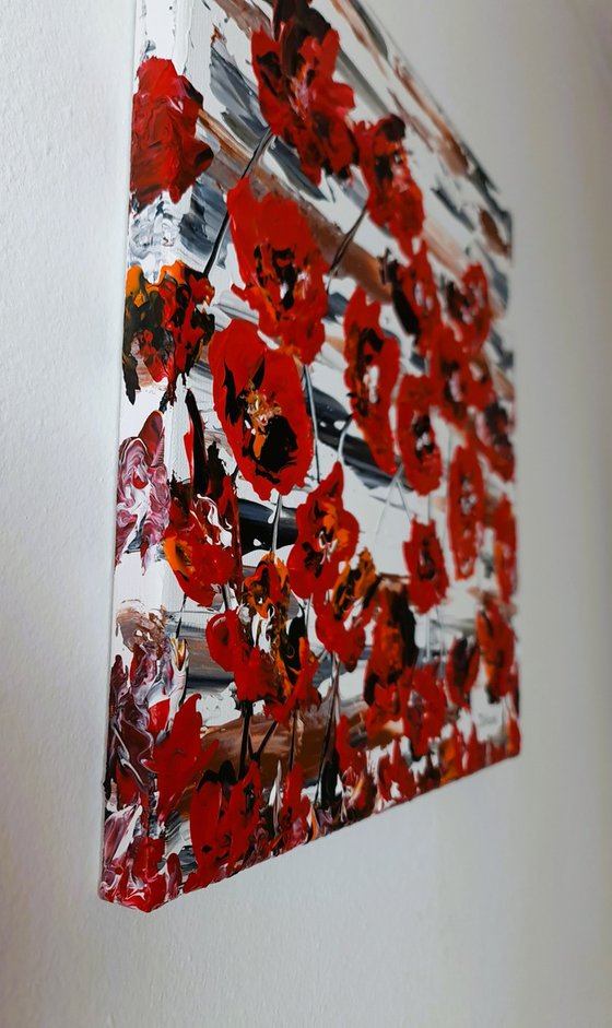 Red Poppies 5