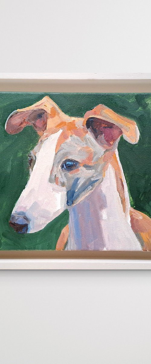 Maggie the Whippet by Katharine Rowe