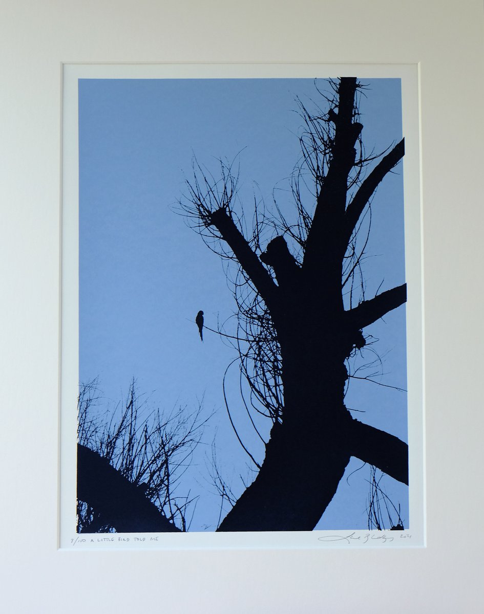 Animal Screenprint By Lene Bladbjerg, 16 X 20", A Little Bird Told Me, Original Artwork