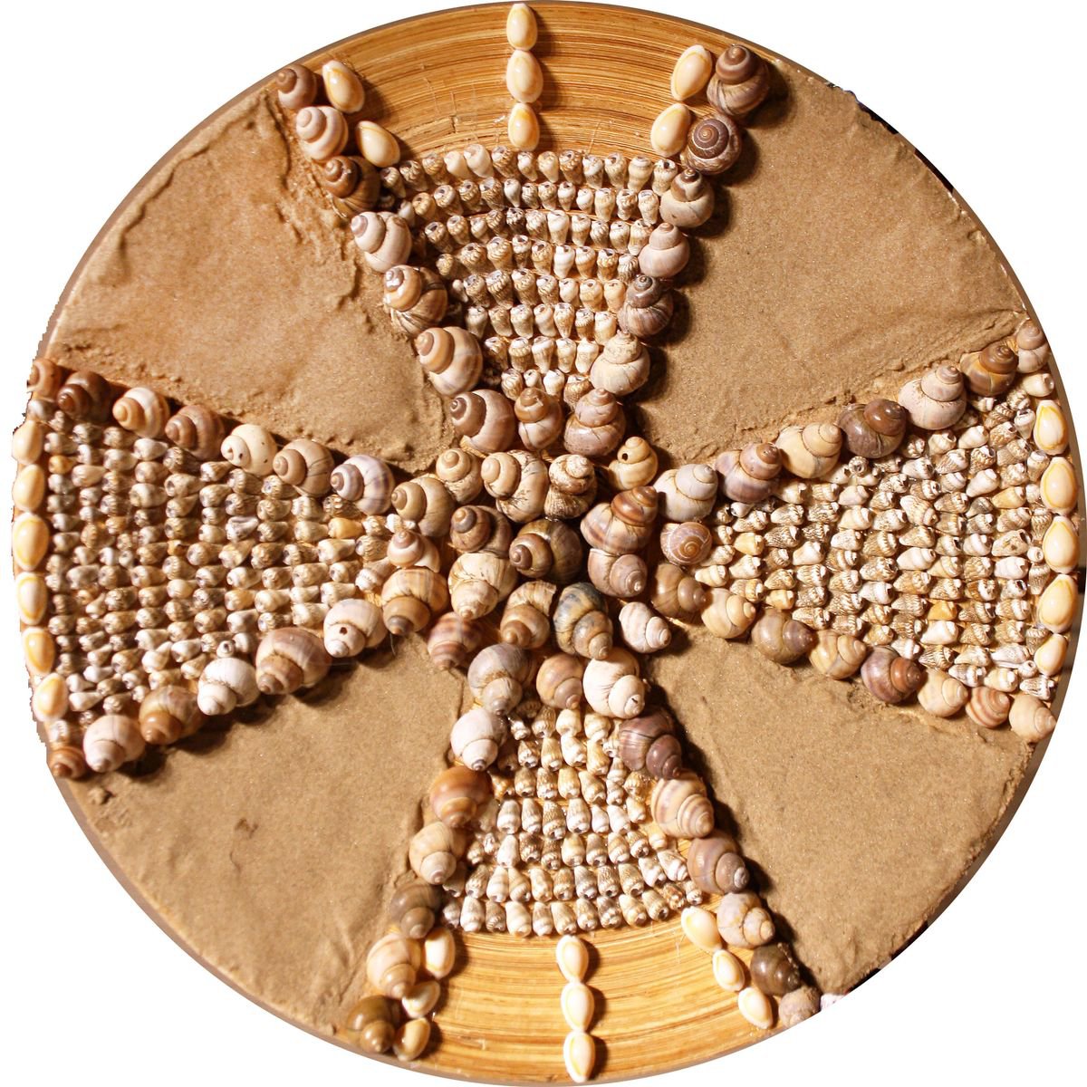 Composition Of Shells By Salana Art / Svetlana Samovarova, 14 X 14, Artwork For Sale On Artfinder