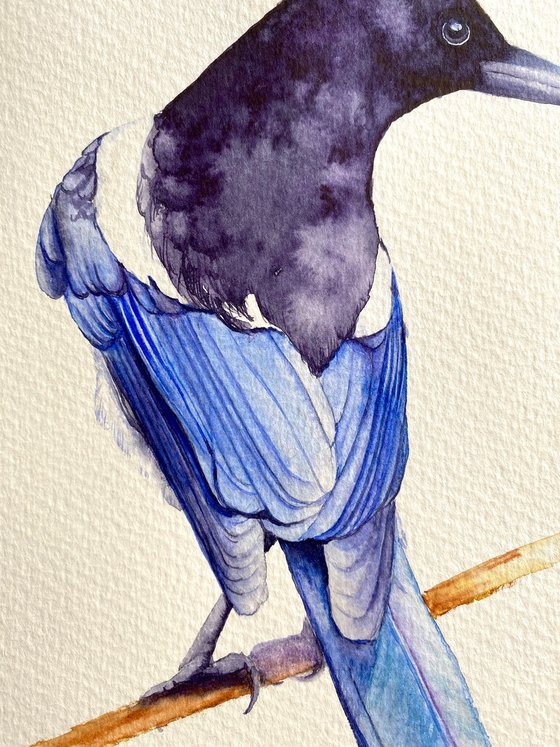 Watercolour bird magpie sitting on a branch in the rays of the sun 2