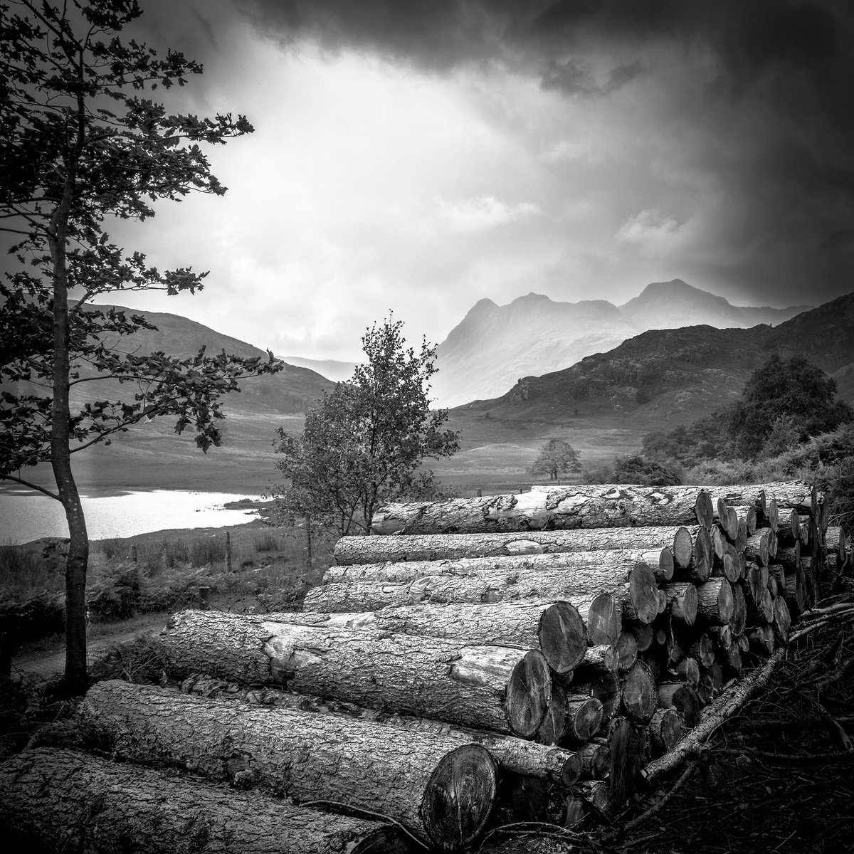 Great Langdale from Blea Tarn - Lake District ( Square Print ) by Stephen Hodgetts Photography