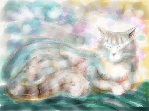Cat - Colour Daydream by Phyllis Mahon
